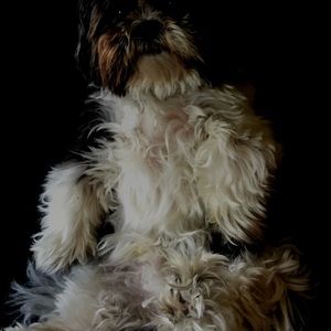 Meet your Posher, Nick